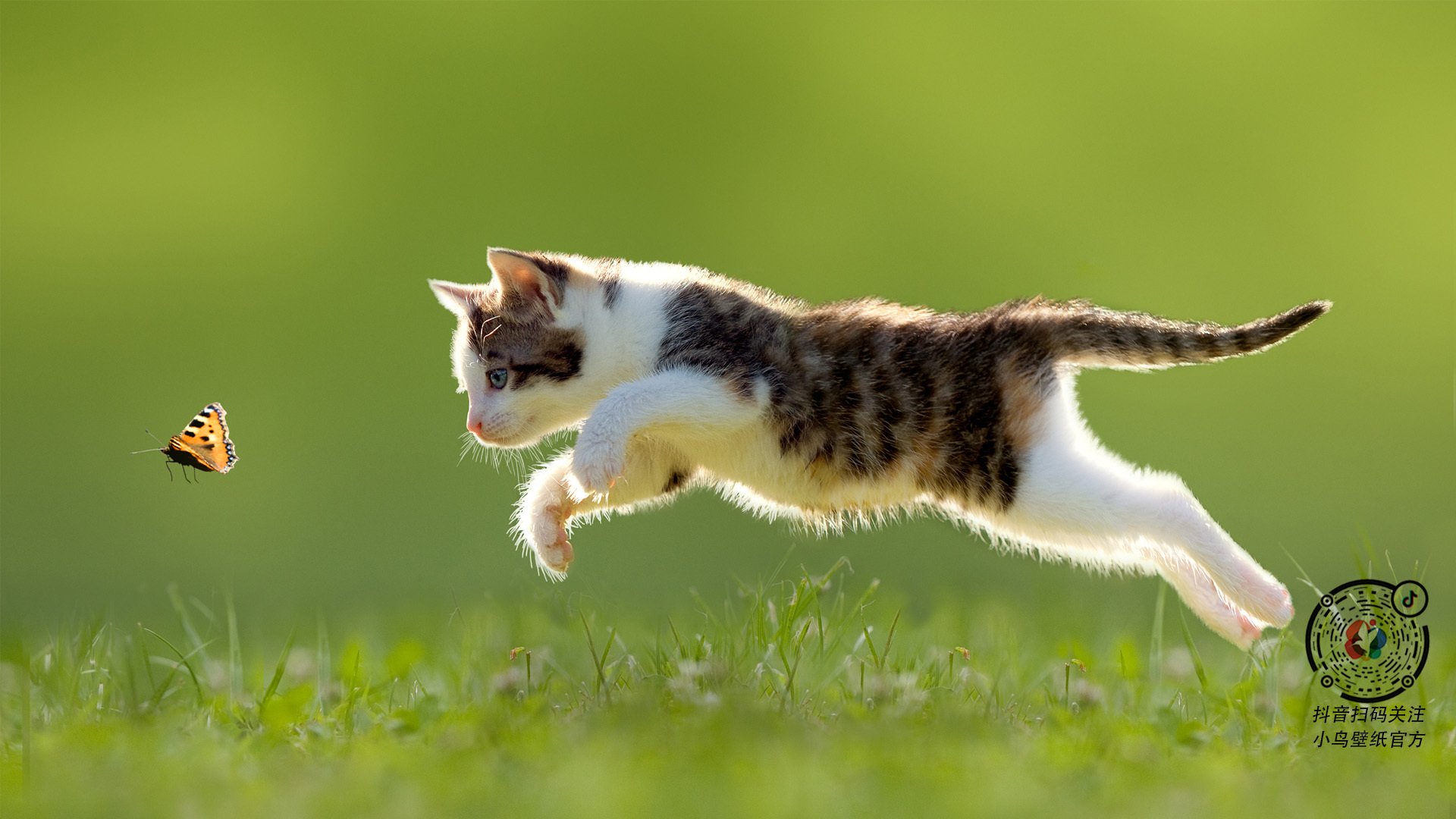 决胜局唯一英雄,阿克第119分钟改写历史,奥地利窒息式带走塞内加尔