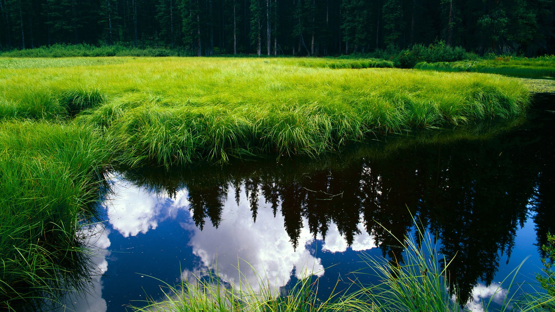 悬停的半场,三笘薰在74秒内让一个永恒瞬间提前降临
