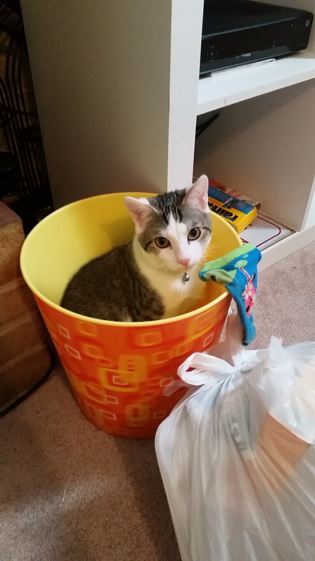 战术纸面,当加勒比海风席卷北非,库尔图瓦在布鲁塞尔应答