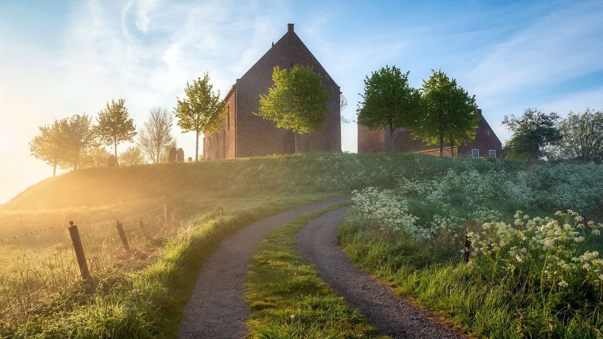 窒息式压制与一剑封喉,澳大利亚如何用团队绞索为关键先生莱奥搭建舞台