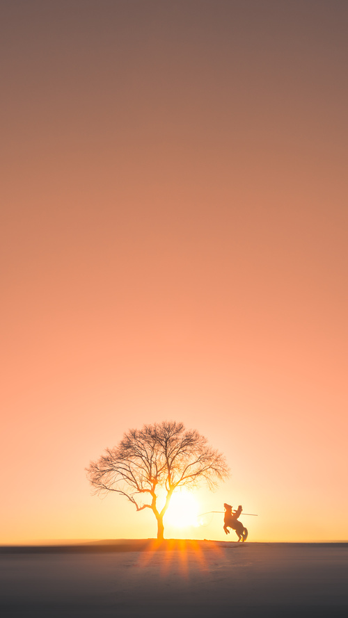 锁链战术与神来之笔，勒沃库森封锁爱尔兰，黄喜灿成为关键先生