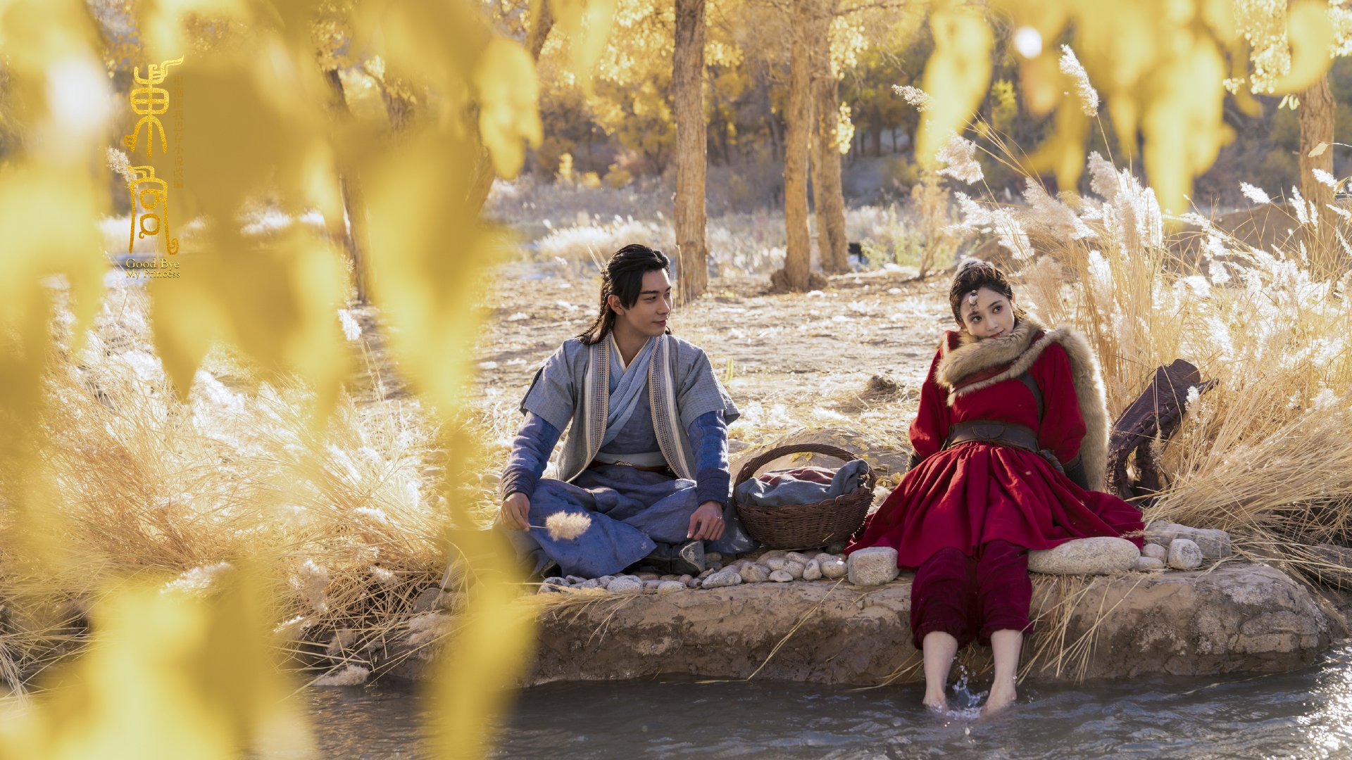 沙漠风暴再起,阿劳霍独闯龙潭,卡塔尔鏖战中擒下哥斯达黎加