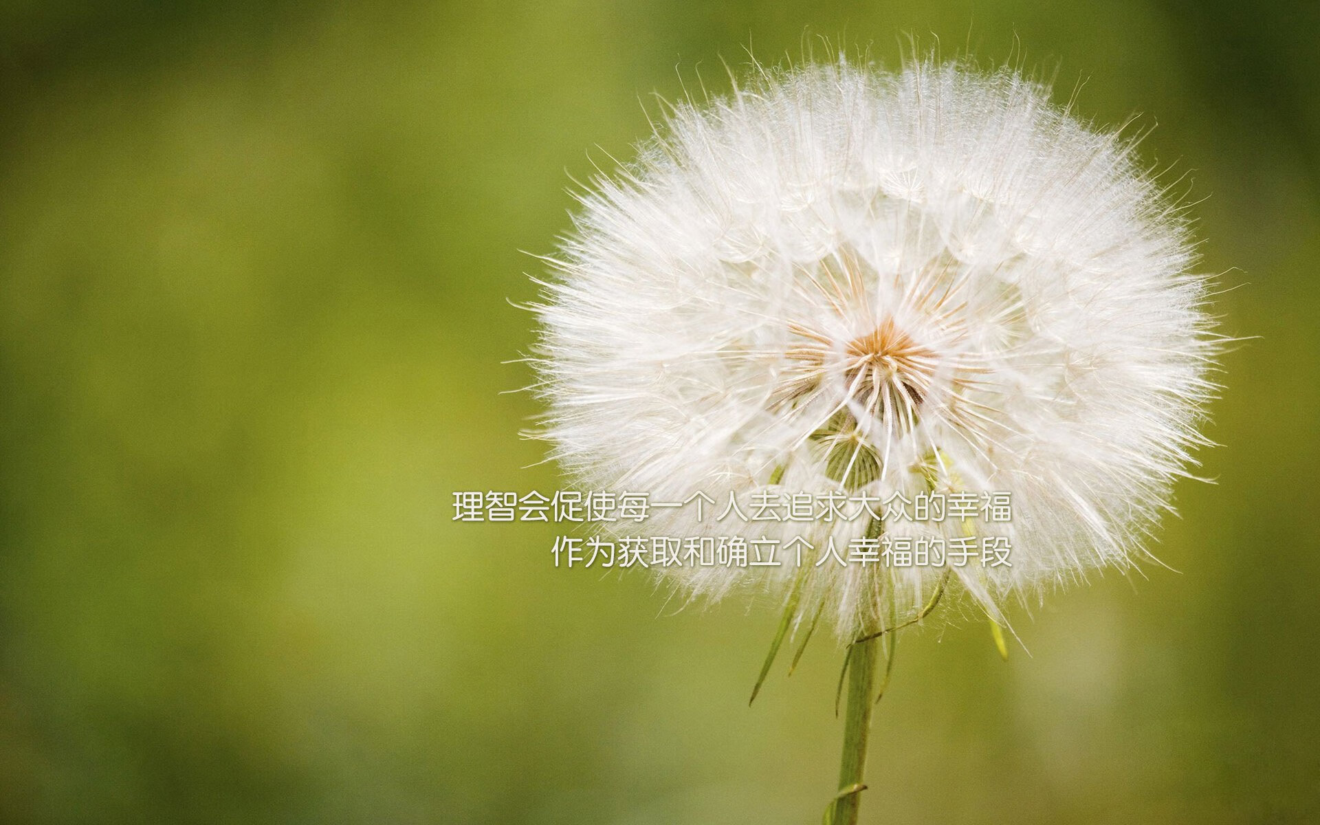 西决暴雨足球，牙买加风格轻取曼城精密机器