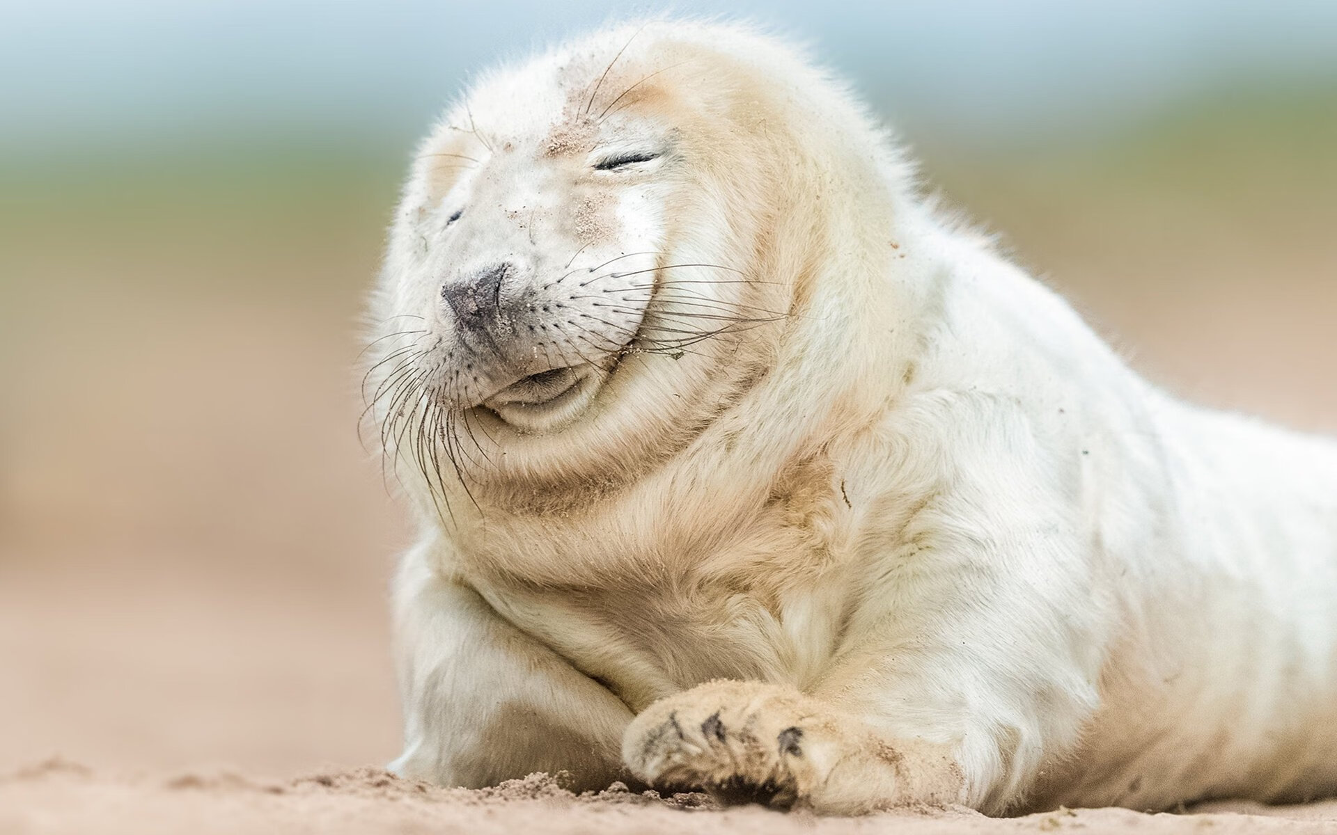 伊拉克无名小卒绝杀马德里竞技，亚洲足球的复仇与救赎之夜