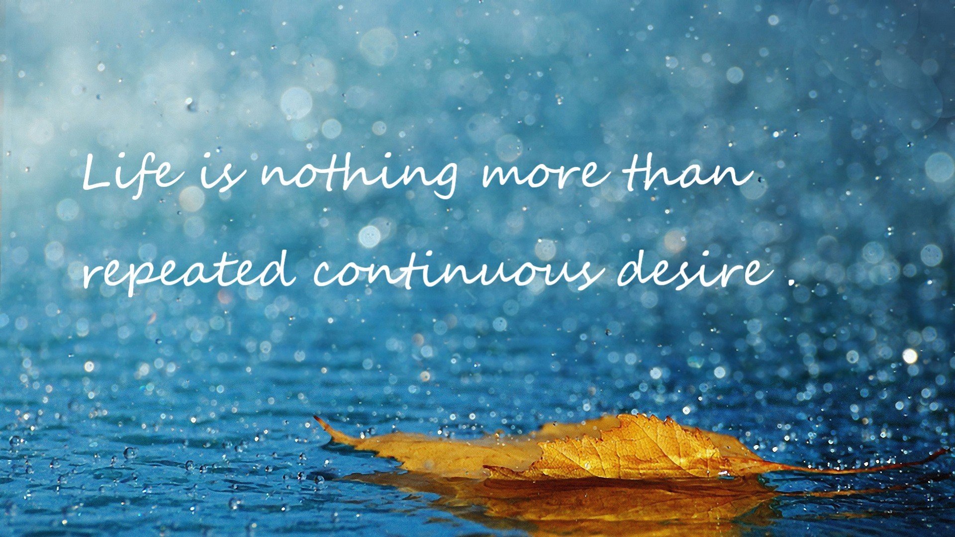 浓眉定义现代内线新高度，凯尔特人铁血防守轻取黄蜂