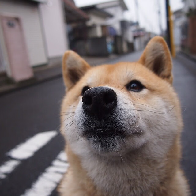 此夜非夜,此凯恩非凯恩,当焦点战在一个人脚下坍缩为绝对领域