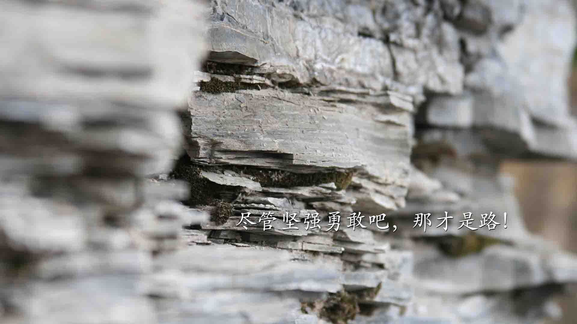 布伦森压哨一击定乾坤，火箭惊险逆转北京队