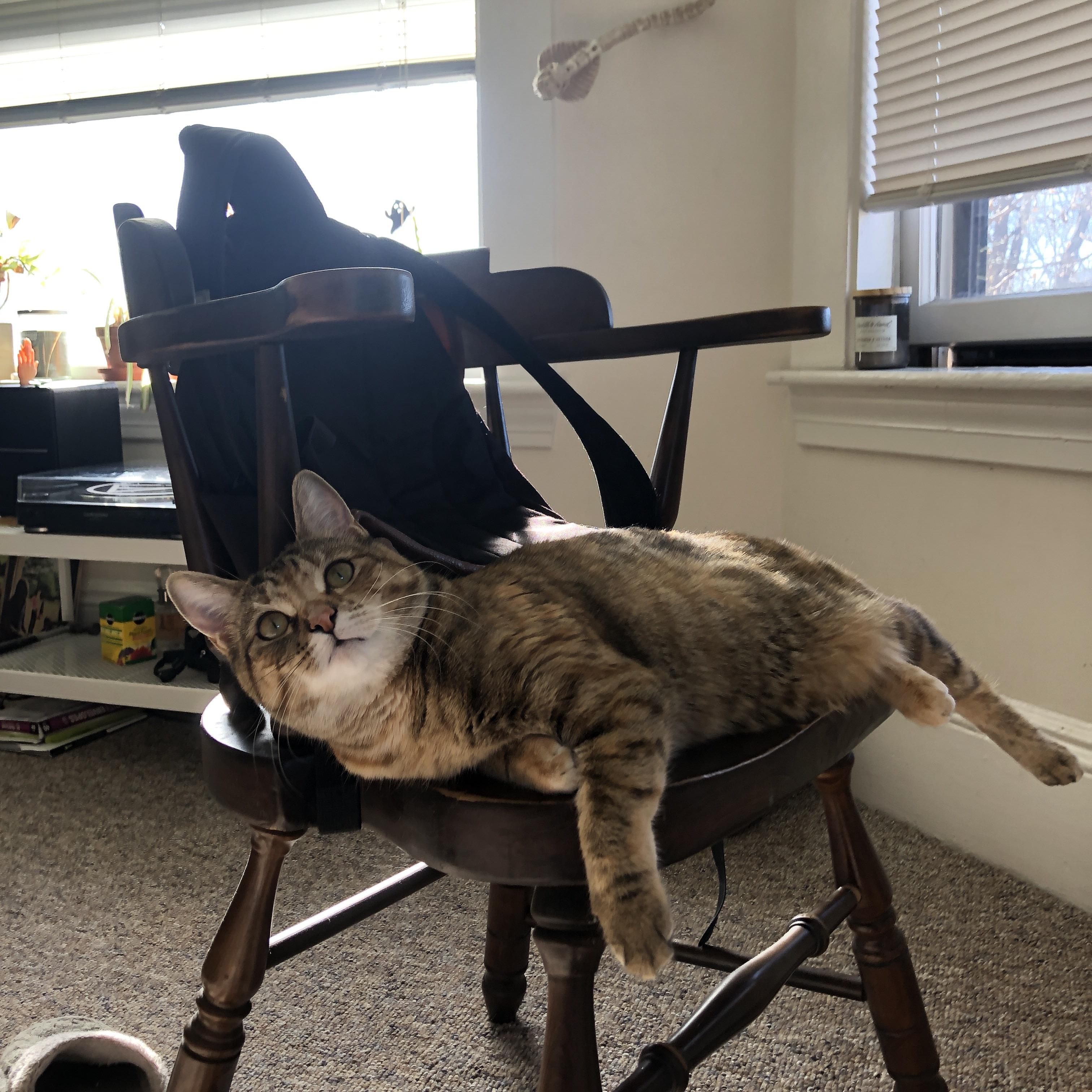 月背赛场，哈兰德独造四球，堪培拉银河队血战撼动皇马霸权