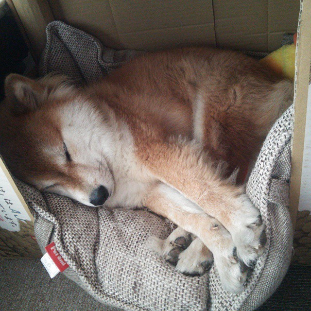 瞬时与接管，当芬兰子弹射穿安菲尔德，当穆勒在街道画下闪电